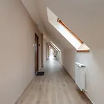 Appartement Unique In By Rent Like *